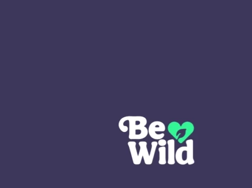 BeWild