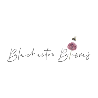 Blackawton Blooms Image of Blackawton Blooms logo