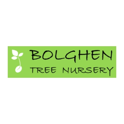 Bolghen Tree Nursery Image of Bolghen Tree Nursery logo